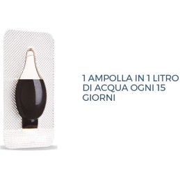 Acquista One Orchidee 20 X 2ML Concentrato con riferimento 86600950 della ditta SBM life science