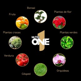Acquista One 750 g Concime Granulare Universale con riferimento 86600991 della ditta SBM life science