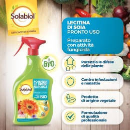 Acquista Solabiol Lecitina Di Soia X 1lt Rtu Liberi Dai Funghi con riferimento 86600647 della ditta SBM life science