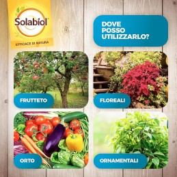 Acquista Solabiol Lecitina Di Soia X 1lt Rtu Liberi Dai Funghi con riferimento 86600647 della ditta SBM life science
