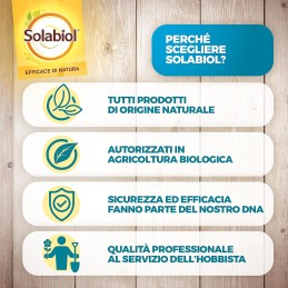 Acquista Solabiol Lecitina Di Soia X 1lt Rtu Liberi Dai Funghi con riferimento 86600647 della ditta SBM life science