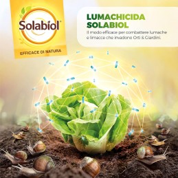 Acquista Lumachicida Ferramol BIO x 1 Kg con riferimento 80558341 della ditta SBM life science
