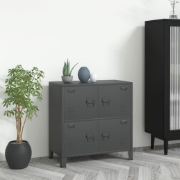 Acquista Classificatore Industriale Antracite 75x40x80 cm in Acciaio con riferimento GHV-339627 della ditta 