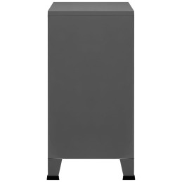 Acquista Classificatore Industriale Antracite 75x40x80 cm in Acciaio con riferimento GHV-339627 della ditta 