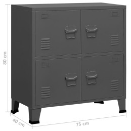 Acquista Classificatore Industriale Antracite 75x40x80 cm in Acciaio con riferimento GHV-339627 della ditta 