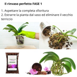 Acquista Corteccia per orchidee BARKMOOD speciale rinvaso 1,5 lt con riferimento GH0033 della ditta GARDENHOME