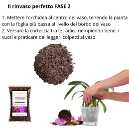 Acquista Corteccia per orchidee BARKMOOD speciale rinvaso 3,5 lt con riferimento GH035 della ditta GARDENHOME