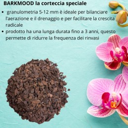 Acquista Corteccia per orchidee BARKMOOD speciale rinvaso 3,5 lt con riferimento GH035 della ditta GARDENHOME