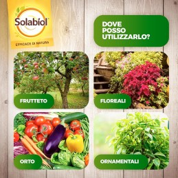 Acquista Solabiol Olio Bianco Vegetale X 1 lt Insetticida con riferimento 86600649 della ditta SBM life science