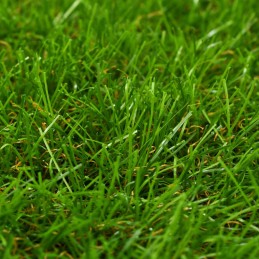 Acquista Erba Sintetica 1x2 m/30 mm Verde con riferimento GHV-318323 della ditta 