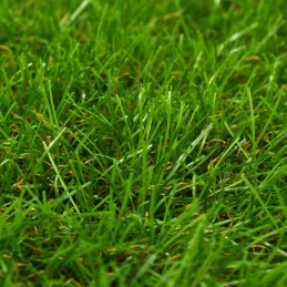 Acquista Erba Sintetica 1x10 m/40 mm Verde con riferimento GHV-318331 della ditta 