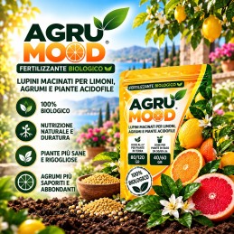 Acquista Agrumood Lupini Macinati 2 kg – Concime Biologico per Agrumi con riferimento GH024 della ditta GARDENHOME