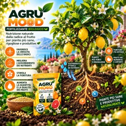 Acquista Agrumood Lupini Macinati 2 kg – Concime Biologico per Agrumi con riferimento GH024 della ditta GARDENHOME