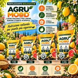 Acquista Agrumood Lupini Macinati 3 kg – Concime 100% Biologico per Limoni e Agrumi con riferimento GH025 della ditta GARDENHOME
