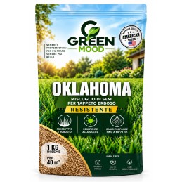 Acquista Greenmood Oklahoma 3 kg – Semi Prato Resistente per 120 m² con riferimento GM865 della ditta GREENMOOD