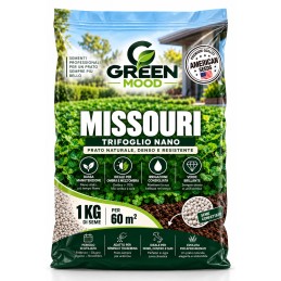 Acquista Greenmood Missouri 1 kg – Semi Trifoglio Nano per Prato con riferimento GM864 della ditta GREENMOOD