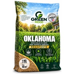 Acquista Greenmood Oklahoma 10 kg – Semi Prato Resistente per 400 m² con riferimento GM867 della ditta GREENMOOD