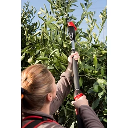 Acquista Asta Di Prolunga 150 cm Felcotronic con riferimento F880/100-150 della ditta Felco