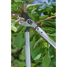 Acquista Troncarami 22 cm. 65 LOWE Prof. con riferimento 69065 della ditta Stocker