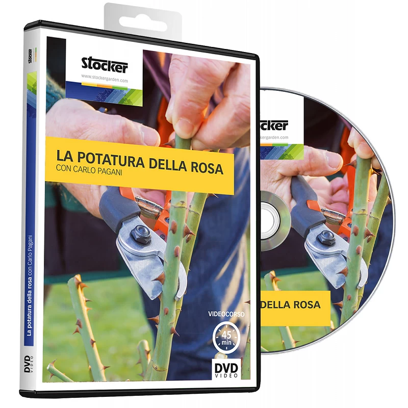 Acquista Dvd La Potatura Della rosa con riferimento 041 della ditta Stocker