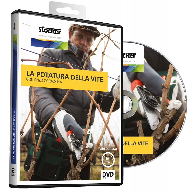 Acquista Dvd La Potatura Della Vite con riferimento 048 della ditta Stocker