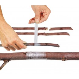 Acquista Nastro Innesto professionale 25 mm x 60 mt con riferimento 2075 della ditta Stocker