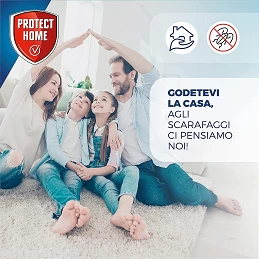 Acquista Fastion Spray Scarafaggi e Formiche 400 ml con riferimento 86601123 della ditta SBM life science
