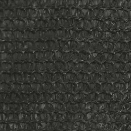 Acquista Vela Parasole 160 g/m² Antracite 4x4x4 m in HDPE con riferimento GHV-311093 della ditta GARDENHOME