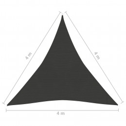 Acquista Vela Parasole 160 g/m² Antracite 4x4x4 m in HDPE con riferimento GHV-311093 della ditta GARDENHOME