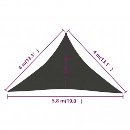 Acquista Vela Parasole 160 g/m² Antracite 4x4x5,8 m in HDPE con riferimento GHV-311094 della ditta GARDENHOME