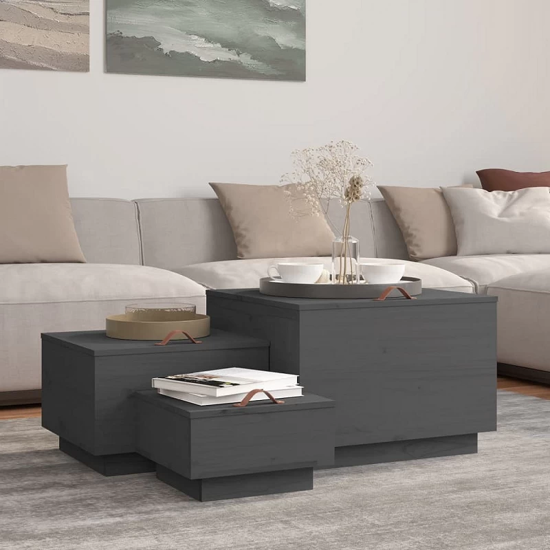 Acquista Contenitori Portaoggetti Coperchi 3pz Grigi Legno Massello Pino con riferimento GHV-818247 della ditta GARDENHOME