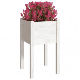 Acquista Fioriera da Giardino Bianca 40x40x70 cm Legno Massello di Pino con riferimento GHV-810791 della ditta GARDENHOME