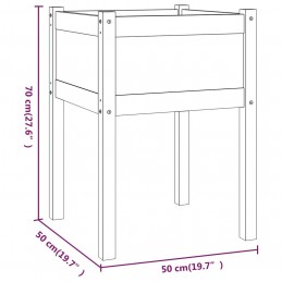 Acquista Fioriere da Giardino 2 pz 50x50x70 cm in Legno Massello di Pino con riferimento GHV-810800 della ditta GARDENHOME