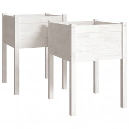 Acquista Fioriere da Giardino 2 pz Bianche 50x50x70 cm Massello di Pino con riferimento GHV-810802 della ditta GARDENHOME