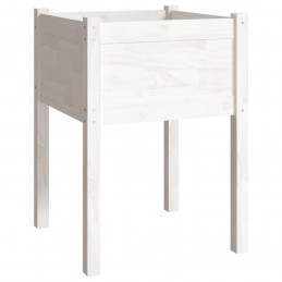 Acquista Fioriere da Giardino 2 pz Bianche 50x50x70 cm Massello di Pino con riferimento GHV-810802 della ditta GARDENHOME