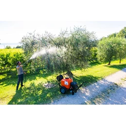 Acquista Pompa 100 lt Cariola a Batteria Stocker con riferimento 304 della ditta Stocker