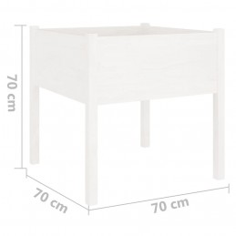 Acquista Fioriera da Giardino Bianca 70x70x70 cm Legno Massello di Pino con riferimento GHV-810811 della ditta GARDENHOME
