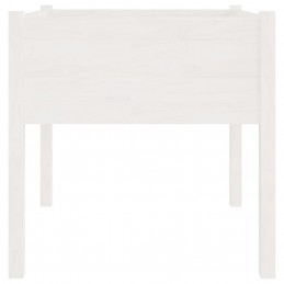 Acquista Fioriere da Giardino 2 pz Bianche 70x70x70 cm in Legno di Pino con riferimento GHV-810812 della ditta GARDENHOME