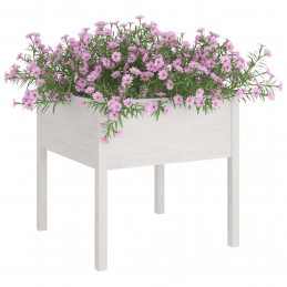 Acquista Fioriere da Giardino 2 pz Bianche 70x70x70 cm in Legno di Pino con riferimento GHV-810812 della ditta GARDENHOME
