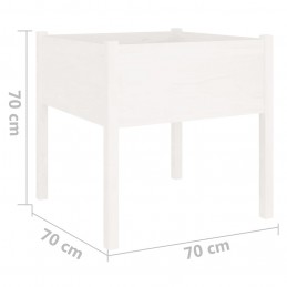 Acquista Fioriere da Giardino 2 pz Bianche 70x70x70 cm in Legno di Pino con riferimento GHV-810812 della ditta GARDENHOME