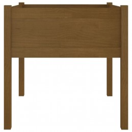 Acquista Fioriere da Giardino 2 pz Miele 70x70x70 cm in Massello di Pino con riferimento GHV-810816 della ditta GARDENHOME