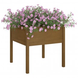 Acquista Fioriere da Giardino 2 pz Miele 70x70x70 cm in Massello di Pino con riferimento GHV-810816 della ditta GARDENHOME