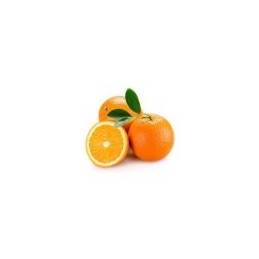 Acquista Arancio Alberello con riferimento 1A-V6WT-LCVQ della ditta Vivai Gardenhome