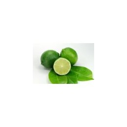 Acquista Limone Limetta Cespuglio con riferimento LIMCESVL18 della ditta Vivai Gardenhome