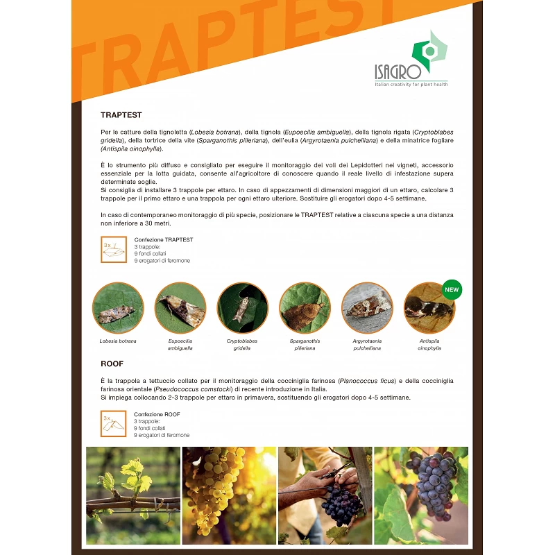 Tignola Rigata Isatrap Traptest Lepidotteri Trappola Feromoni Tignola Rigata ...