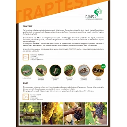 Acquista Isatrap Traptest Lepidotteri Trappola Fenormoni Tignola Della Vite (Eupoecilia ambiguella) con riferimento ISA007 della ditta ISAGRO
