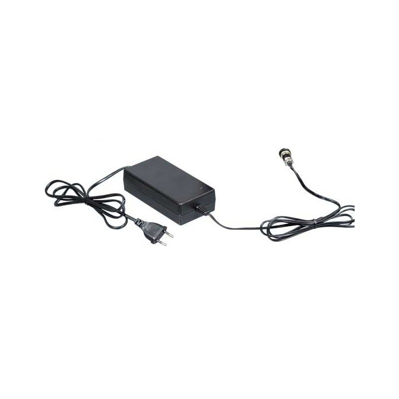 Acquista Caricabatterie Pompe 252 242 247 con riferimento C-252 della ditta Stocker