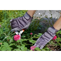 Acquista Guanti Giardino misura 10/L con riferimento 23064 della ditta Stocker