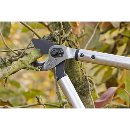 Acquista Troncarami 22 cm. 80 LOWE Prof. con riferimento 69080 della ditta Stocker