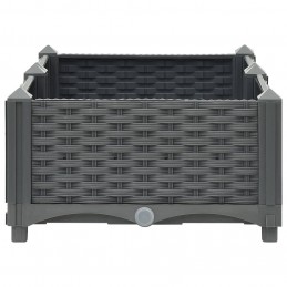 Acquista Fioriera Rialzata 80x40x23 cm in Polipropilene con riferimento GHV-310398 della ditta GARDENHOME